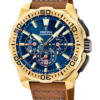 Festina Homme. f20728/1