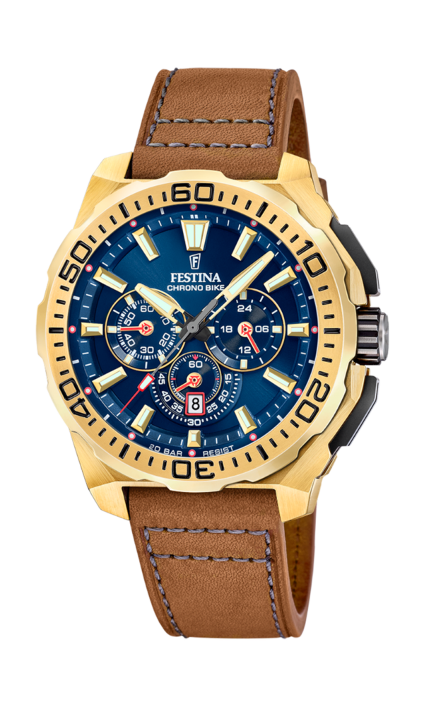 Festina Homme. f20728/1