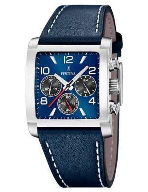 Festina Homme. F20653/1