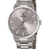 Festina Titanium Homme