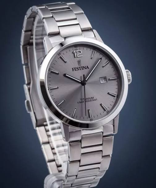 Festina Titanium Homme