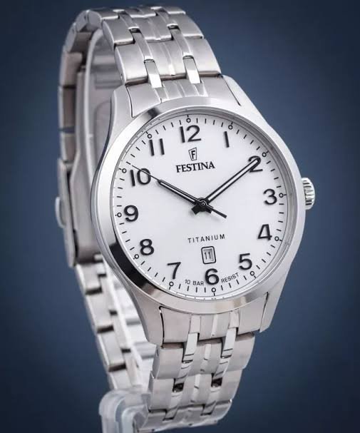 Festina Homme. F20466/1