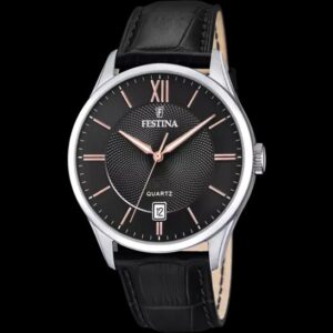 Festina Homme. f20426/6