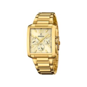 Festina Homme. f20638/2