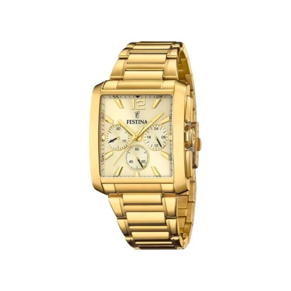Festina Homme. f20638/2