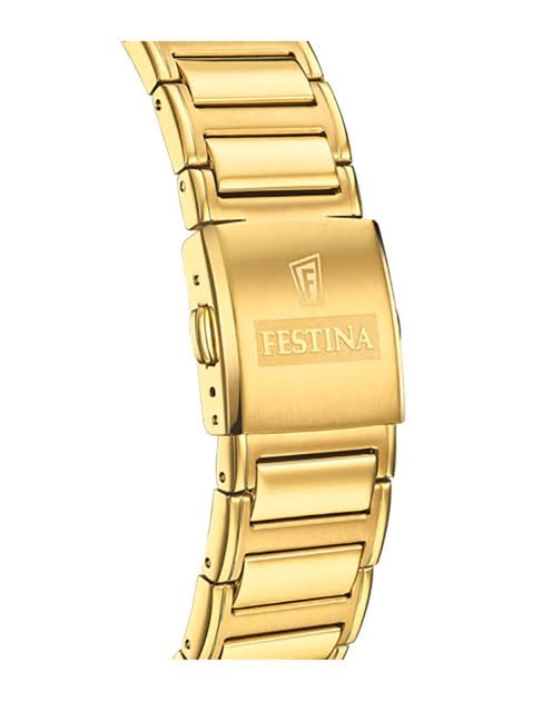 Festina Homme. f20638/2