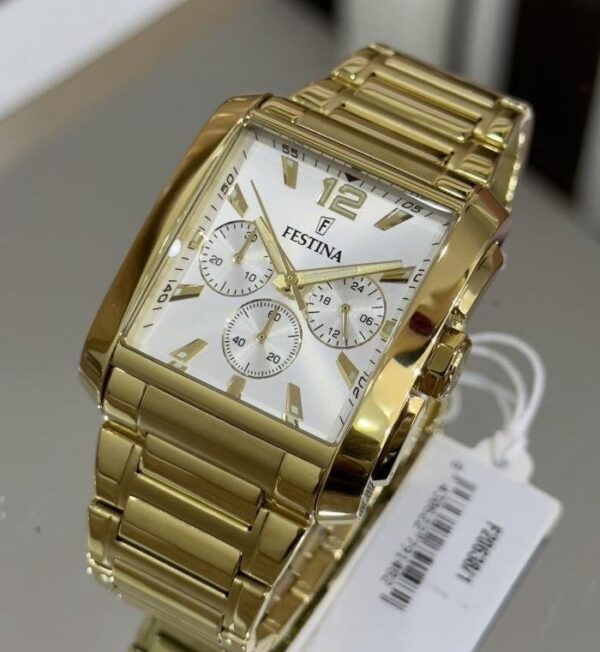 Festina Homme. f20638/2