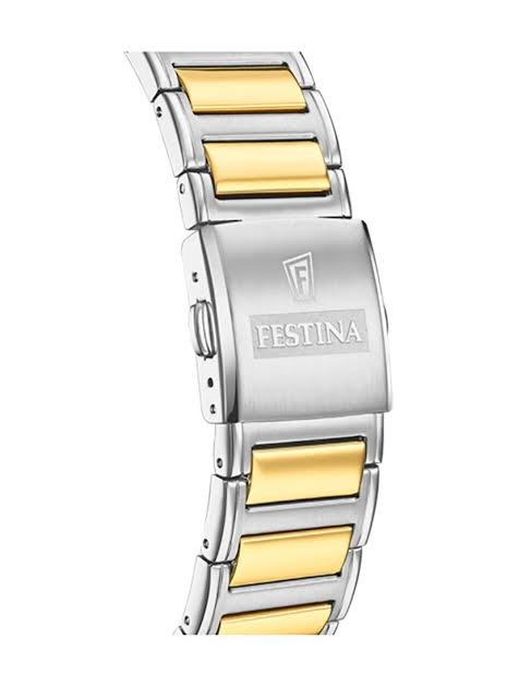 Festina Homme. f20637/1