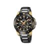 Festina Homme Special Edition. F20644/1